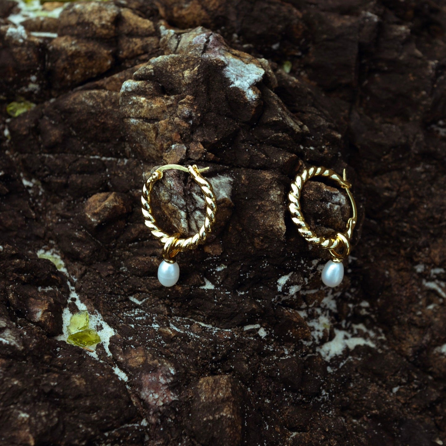 CASSEY HOOP EARRINGS - Eli Chrishan